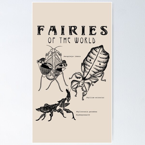 Insects from the Kanto Region | Art Print