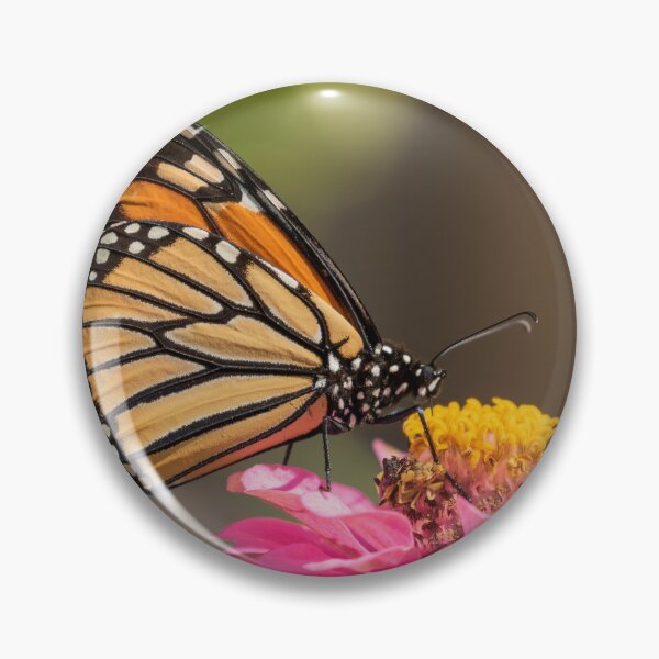 Item preview, Monarch On Zinnia 2016-2 designed and sold by Thomasyoung.