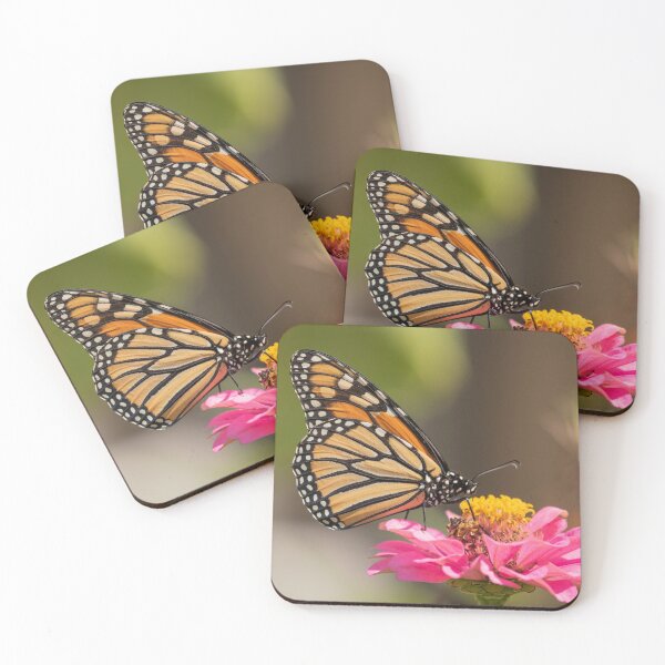 Item preview, Monarch On Zinnia 2016-2 designed and sold by Thomasyoung.