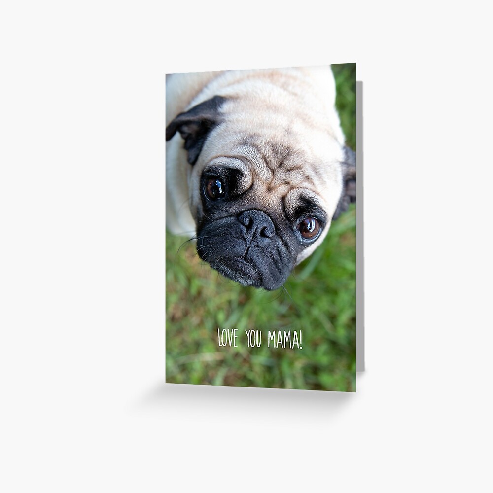 Love You Mama Greeting Card Greeting Card