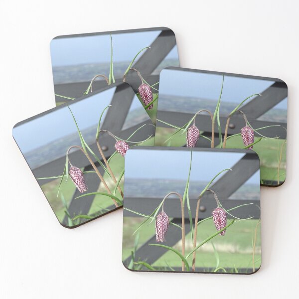 Item preview, Lazarus Reflects designed and sold by Barrie Woodward.
