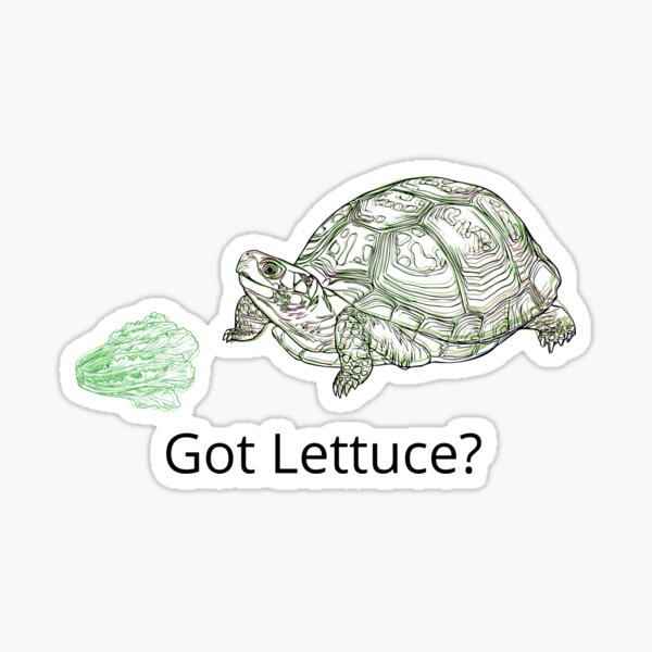 Got Lettuce? Sticker