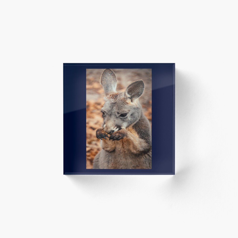 Item preview, Acrylic Block designed and sold by 7AJA.