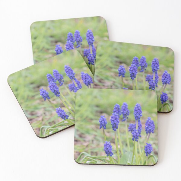 Item preview, Grape Hyacinth designed and sold by LaurenTucker.