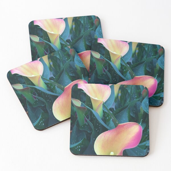 Item preview, Flowers - Zantedeschia - kalla - kála - Saint Tropez, France Villa Verde designed and sold by BIPHOTONEWS.