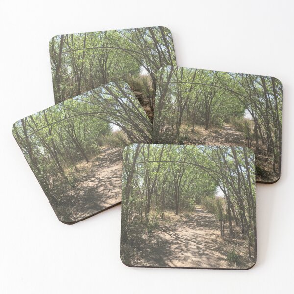 Item preview, Hiking Trail at West Texas Preserve designed and sold by Rita Kindle.