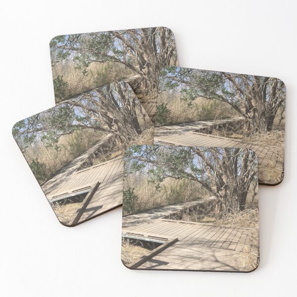 Item preview, Wooden boardwalk at West Texas nature preserve designed and sold by Rita Kindle.