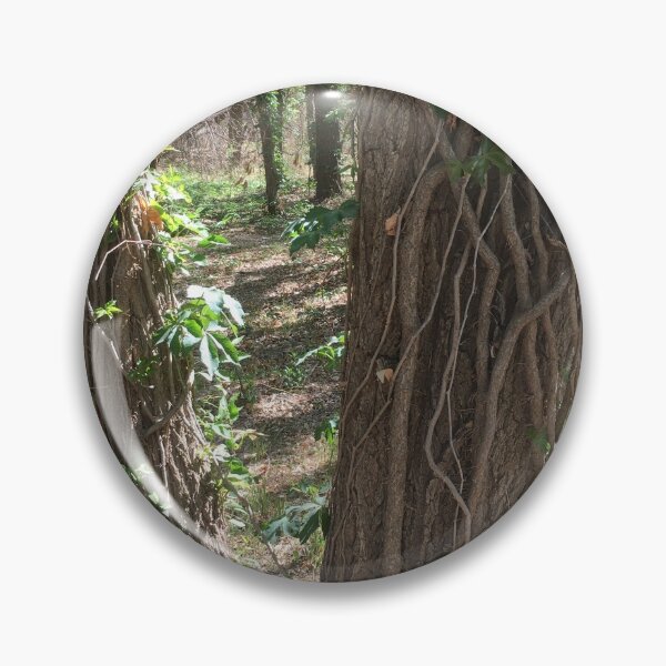 Item preview, Vines twine around tree in West Texas preserve designed and sold by Rita Kindle.