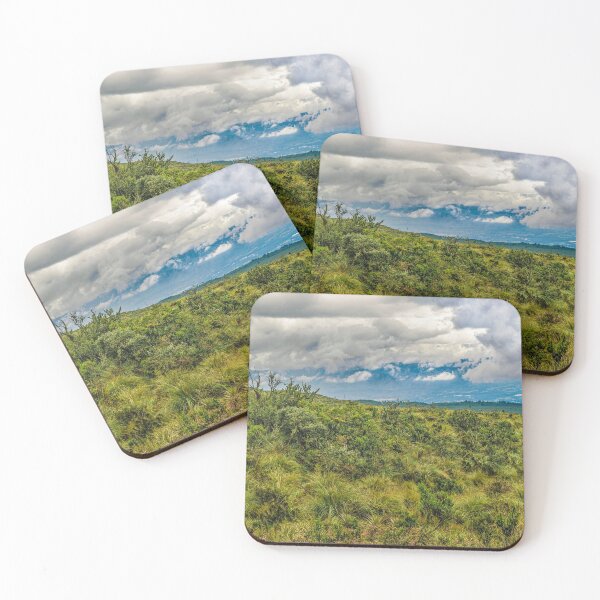 Item preview, Landscape Scene Cotopaxi National Park, Ecuador designed and sold by DFLC Prints.