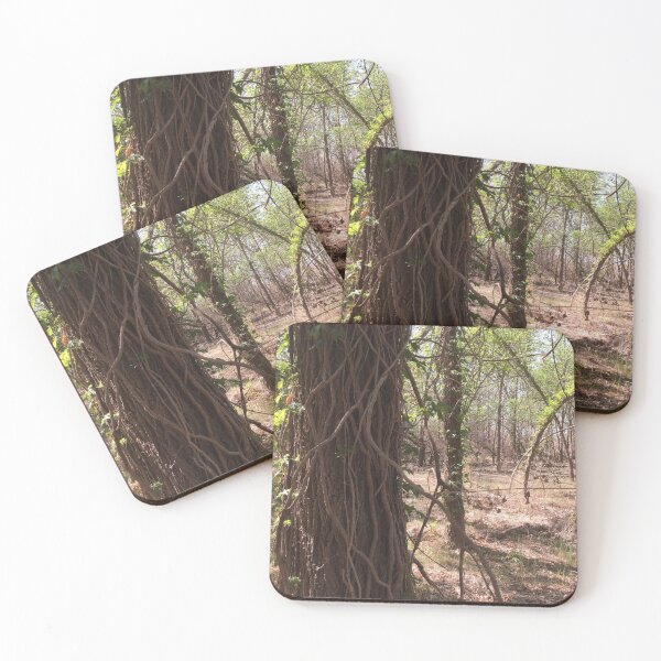 Item preview, Árbol encantador en la reserva del oeste de Texas designed and sold by Rita Kindle.