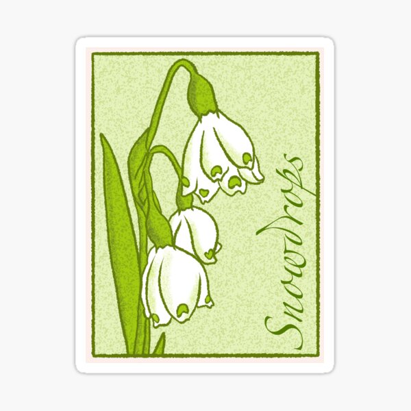 Snowdrops Sticker