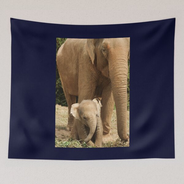 Item preview, A Mother's Baby designed and sold by 7AJA.