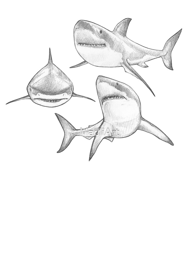 Shark Coloring Page For Kids Outline Sketch Drawing Vector, Shark Drawing,  Wing Drawing, Ring Drawing PNG and Vector with Transparent Background for  Free Download