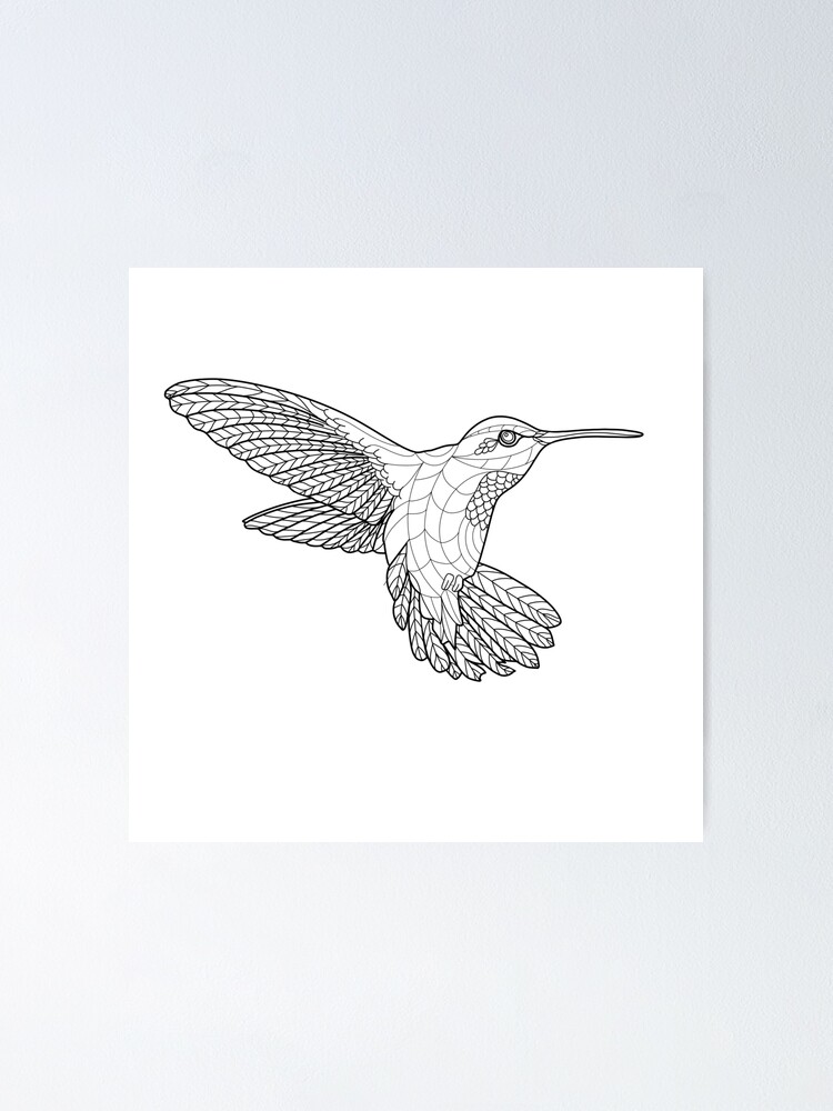 Flying bird sketch on white background isolated vector posters for the  wall  posters doodle wild zoology  myloviewcom