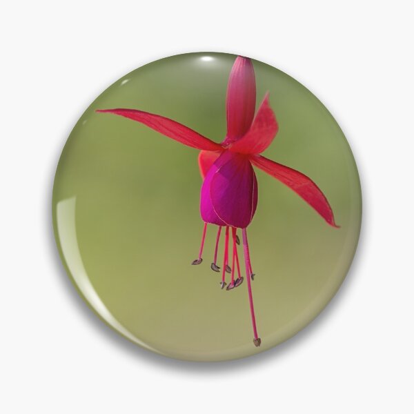 Item preview, Fuchsia designed and sold by cloud7.