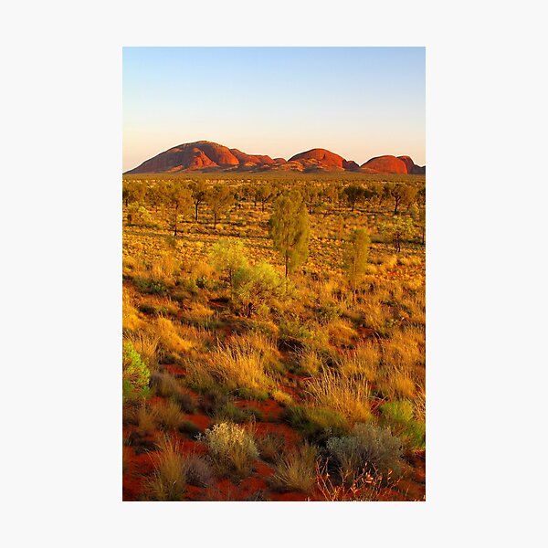 Kata Tjuta at sunrise Photographic Print
