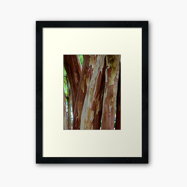 Item preview, Crepe Myrtle Stalks designed and sold by Scott Mitchell.