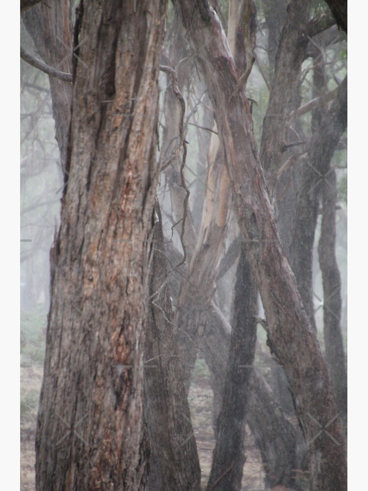 Grey Convergence by LisaGHunter