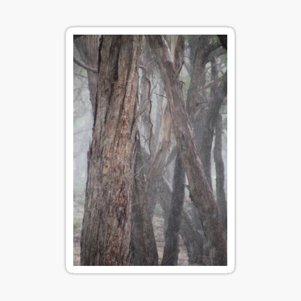Grey Convergence Sticker