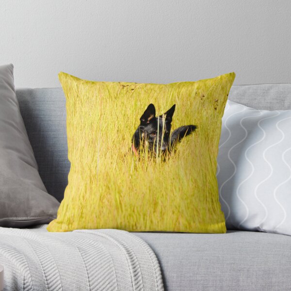 Chester Throw Pillow