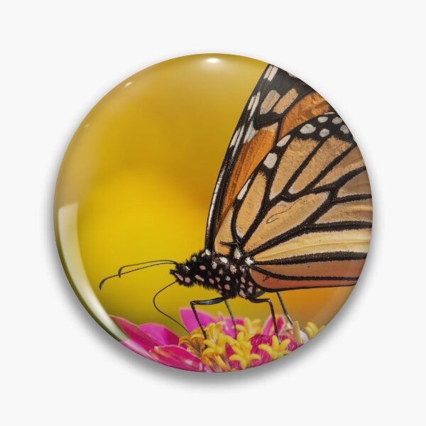 Item preview, Monarch On Zinnia 2016-3 designed and sold by Thomasyoung.