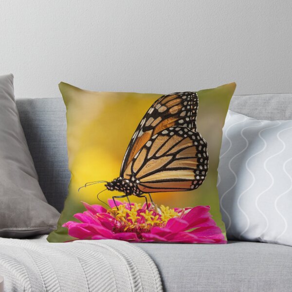 Item preview, Monarch On Zinnia 2016-3 designed and sold by Thomasyoung.