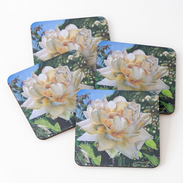 Item preview, Sun drenched rose designed and sold by Kylie Carney.
