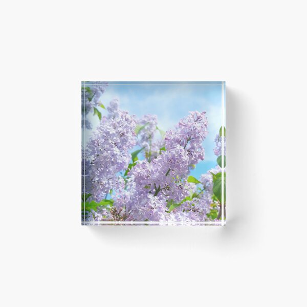 Item preview, Soft Lilac blossom  designed and sold by RebeccaHandy.