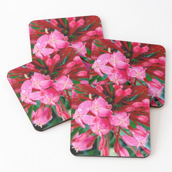 Item preview, Wet Pink Flowers designed and sold by Geoff Treagus.