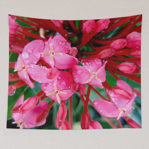 Item preview, Wet Pink Flowers designed and sold by Geoff Treagus.