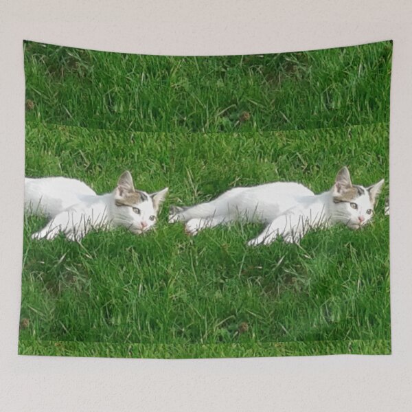 Item preview, Cute white Kitten relaxing in the Grass on a Summer Afternoon in the Sunshine designed and sold by LeBreab.