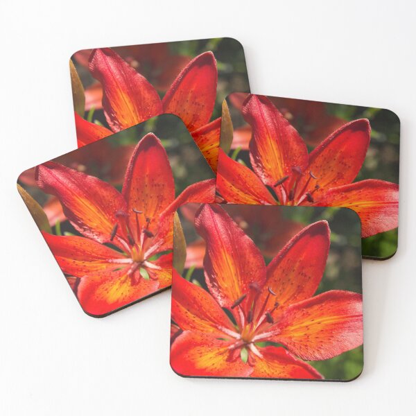 Item preview, Close up of orange lily designed and sold by amzani.
