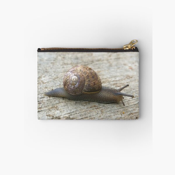 Item preview, Snail designed and sold by SunnyDesignsCo.