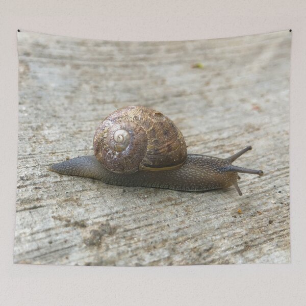Item preview, Snail designed and sold by SunnyDesignsCo.