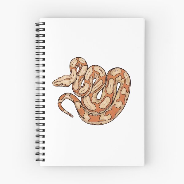 Aperçu de l'œuvre Sun Glow Boa créée et vendue par strawberysnakes.
