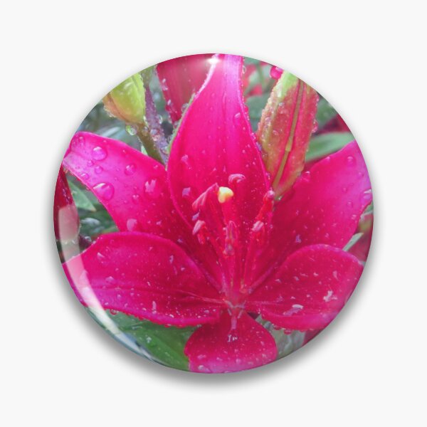 Item preview,  Ruby Red Tulip designed and sold by WoodburyLake.