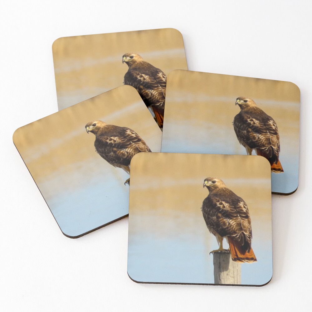 Item preview, Coasters (Set of 4) designed and sold by DigitalGen.