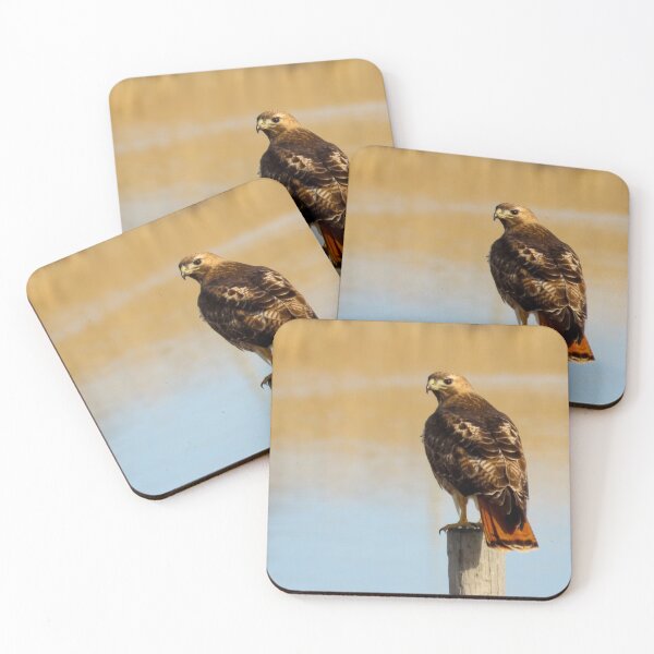 Item preview, Red-tailed Hawk designed and sold by DigitalGen.