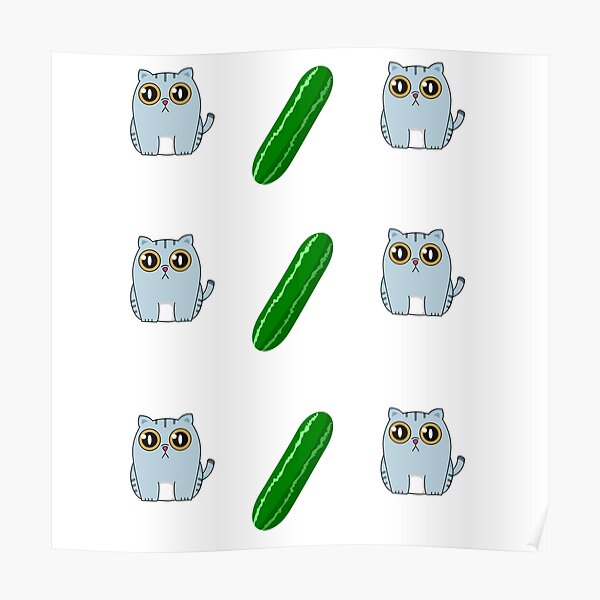 "Cats And Cucumbers Funny Meme" Poster for Sale by onwardsupplyco