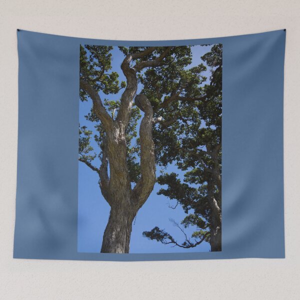 Item preview, Gnarled Pohutukawa Trees. designed and sold by Anne Scantlebury.