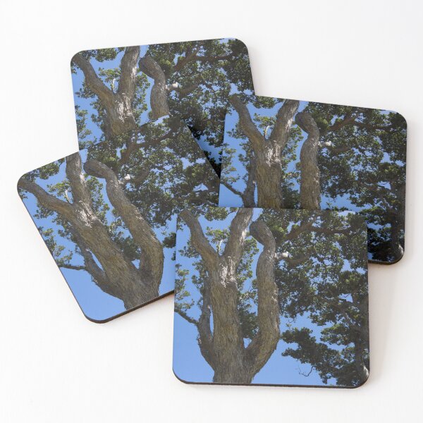 Item preview, Gnarled Pohutukawa Trees. designed and sold by Anne Scantlebury.