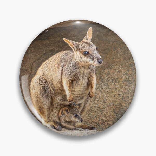 Item preview, Rock Wallaby and her Joey! designed and sold by Aiin Ojani.