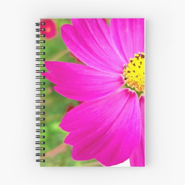 Item preview, Highly Contrasting and Stylish Pink Flower Photo designed and sold by Geoff Treagus.