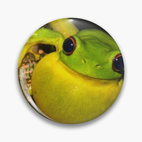 Item preview, Red-Eyed Tree Frog designed and sold by Derek Byrne.
