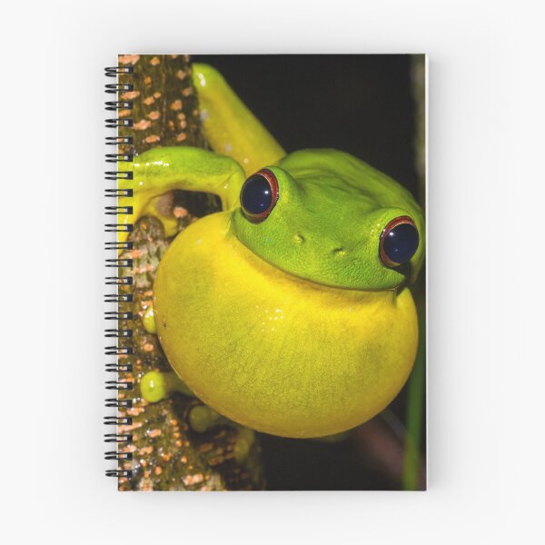 Item preview, Red-Eyed Tree Frog designed and sold by Derek Byrne.