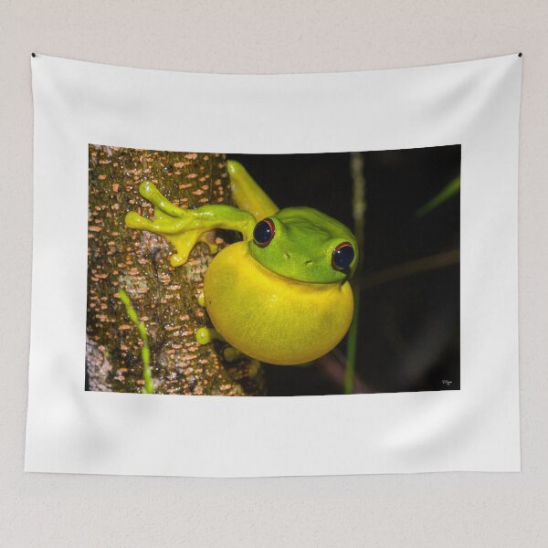 Item preview, Red-Eyed Tree Frog designed and sold by Derek Byrne.