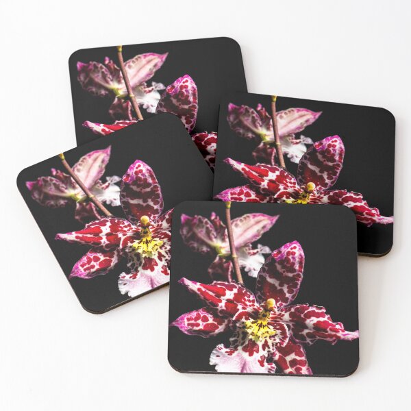 Item preview, Orchid designed and sold by Derek Byrne.