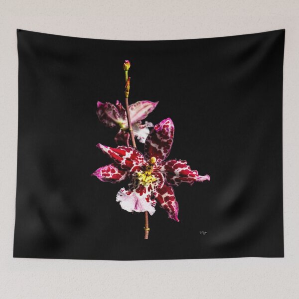 Artikelvorschau, Orchid entworfen und verkauft von Derek Byrne.