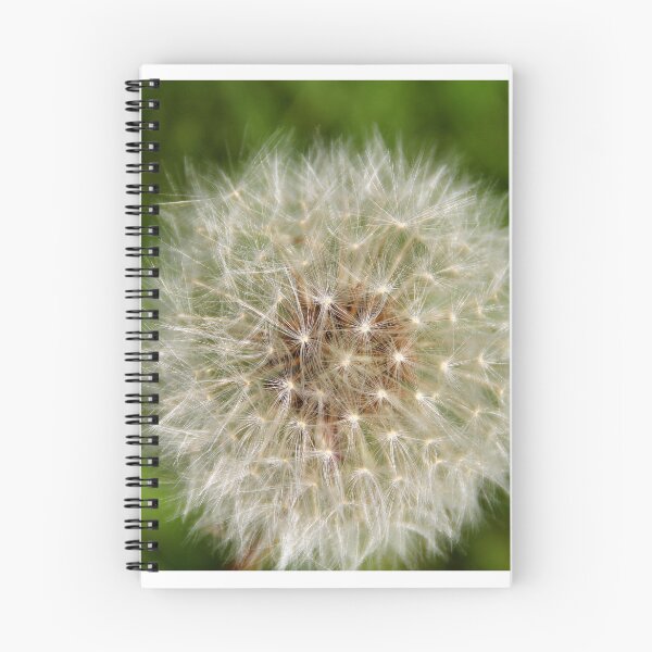 Item preview, Dandelion designed and sold by snadin.
