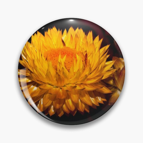 Item preview, I Wanted to Pick you a Flower designed and sold by Derek Byrne.